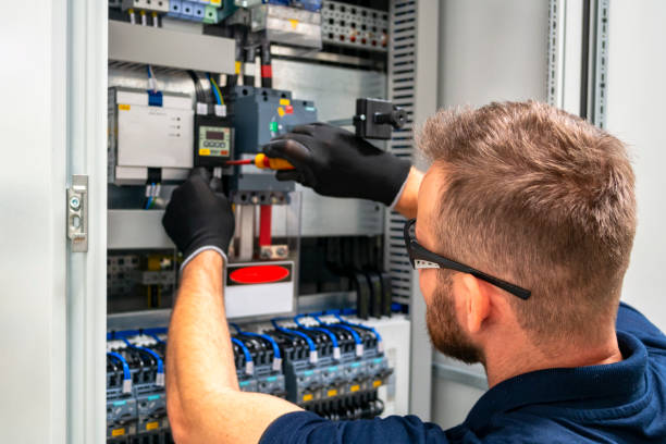 Best Electrician for Home Renovation  in Wyoming, DE